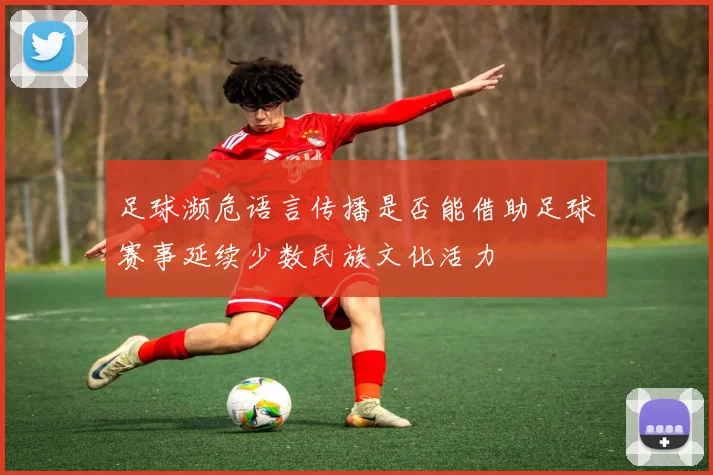 足球濒危语言传播是否能借助足球赛事延续少数民族文化活力