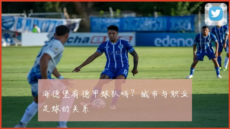 海德堡有德甲球队吗？城市与职业足球的关系