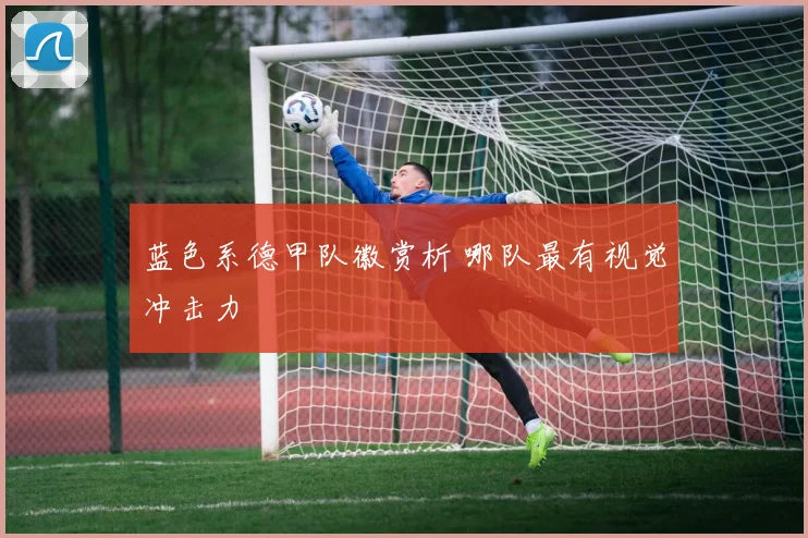 蓝色系德甲队徽赏析 哪队最有视觉冲击力
