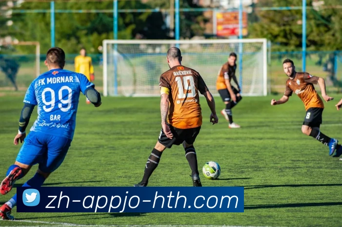 华体会hth服务体系